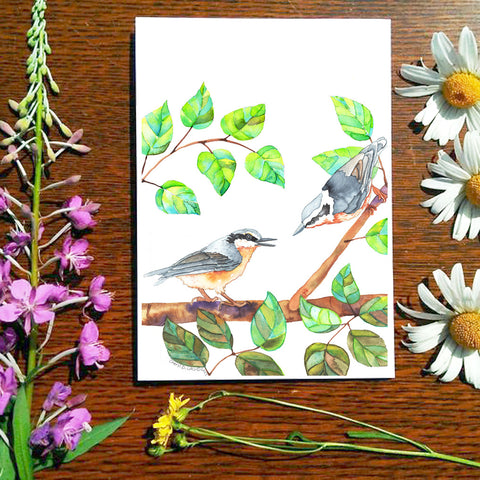 Card - Nuthatch Love