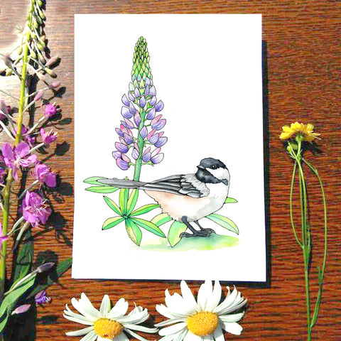 Card - Lupine and Chickadee