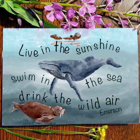 Card - Live in the Sunshine