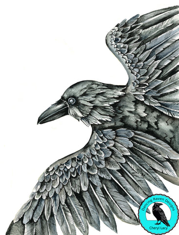 Limited Edition Print - Taking Flight