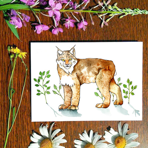 Card - Lynx