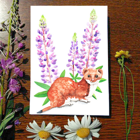 Ermine - Greeting Card