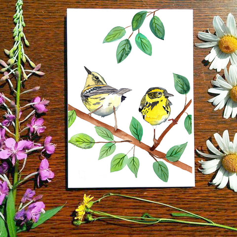 Townsend Warbler - Greeting Card