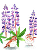 Sparrow In The Lupine - Art Print