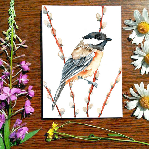 Chickadee and Pussywillow - Greeting Card