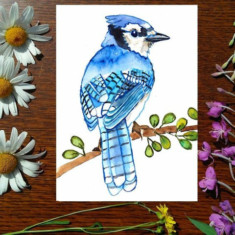 Card - Blue Jay