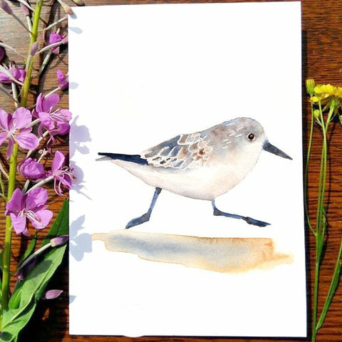 Card - Sandpiper