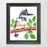 Belted Kingfisher - Art Original