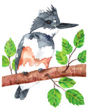 Belted Kingfisher - Art Original