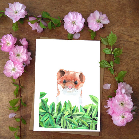 Card -Morning Visit