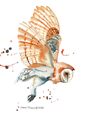 Barn Owl - Art Original