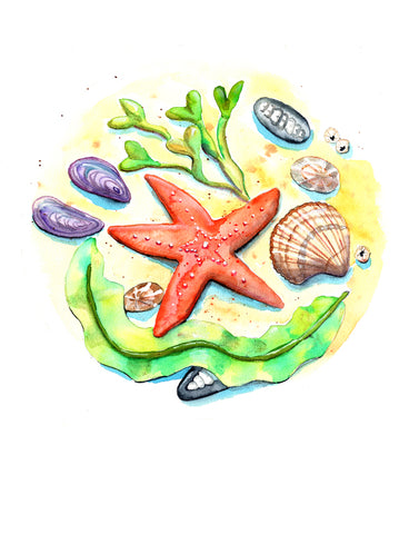 Print - Tidal Pool