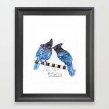 Print - Stellar Jays