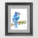 Print - Blue Jay