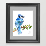Blue Jay  - Art Print