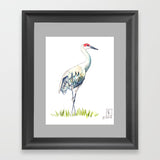 Sandhill Crane  - Art Print