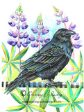 Lupine Raven - Art Print