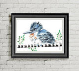 Print - King Fisher
