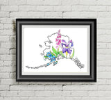 Print - Alaska Wildflowers