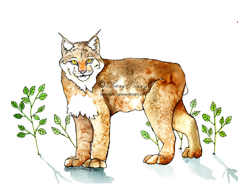 Lynx - Art Original