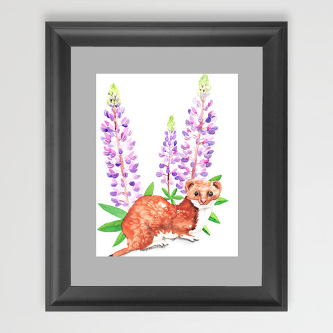 Ermine - Art Print