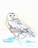 Snowy Owl - Art Original