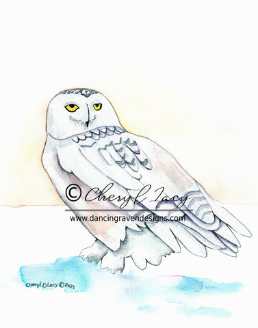 Original - Snowy Owl