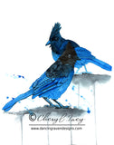 Stellars Jays Too- Art Original