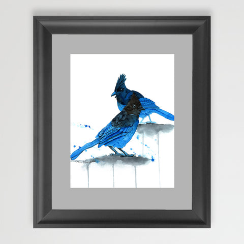 Print - Stellars Jays Too