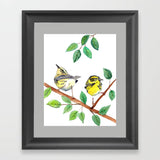 Townsend Warbler - Art Original