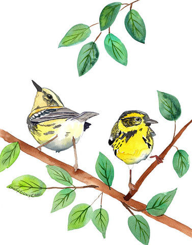 Townsend Warbler - Art Original