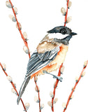 Original - Chickadee and Pussywillow