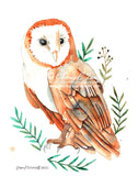 Barn Owl - Art Original