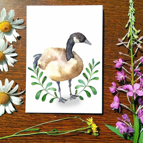 Canada Goose - Greeting Card