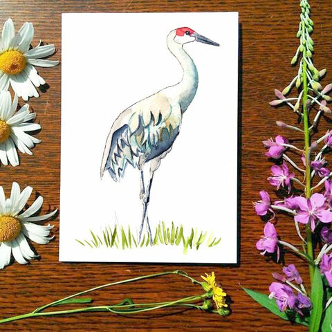 Sandhill crane - Greeting Card
